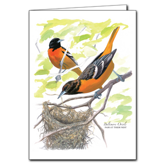 Sibley's Baltimore Orioles image 0