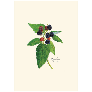 Berry Assortment image 4