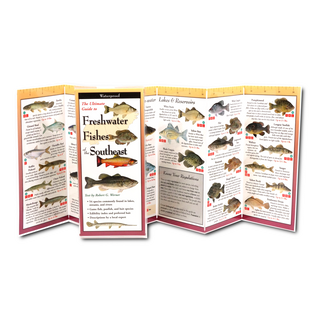 Freshwater Fishes of the Southeast image 1