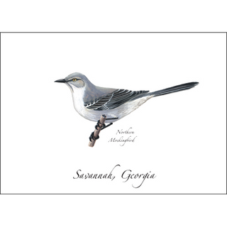 Northern Mockingbird image 0
