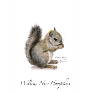 Gray Squirrel image 0