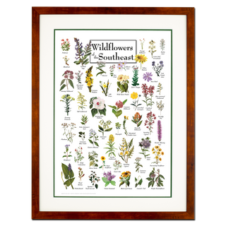 Wildflowers of the Southeast - Double matted honey frame image