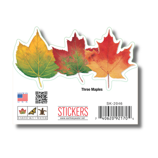 Three Maples image 1