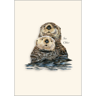 Sea Otter II image 1