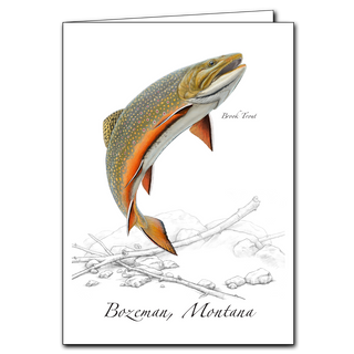 Brook Trout image 0