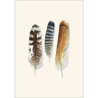 Raptor Feathers image 1