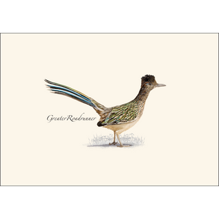 Roadrunner image 1