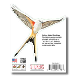 Scissor-Tailed Flycatcher image 1