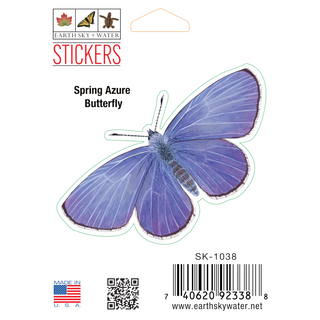 Spring Azure image 0