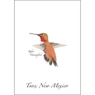 Rufous Hummingbird image 0