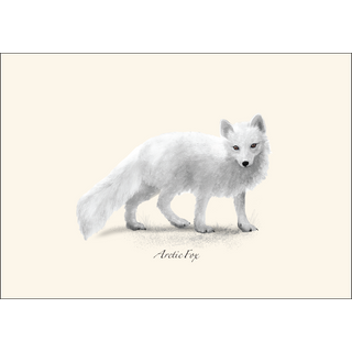 Western Mammal Assortment II image 1