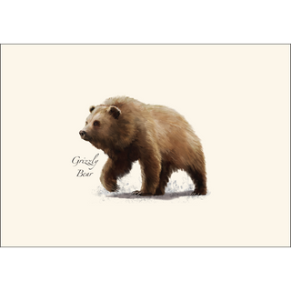 Western Mammal Assortment II image 3
