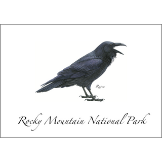 Raven image 0
