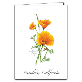 California Poppy image 0