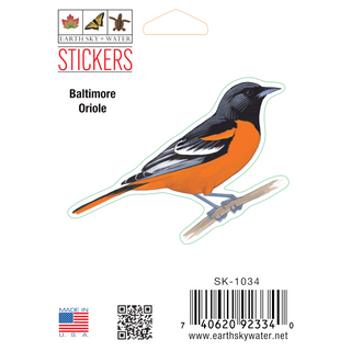 Baltimore Oriole image 0