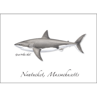 Great White Shark image 0