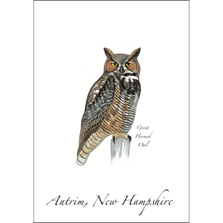 Great Horned Owl image 0
