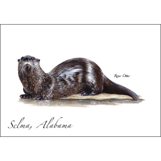 River Otter image 0