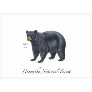 Black Bear image 0