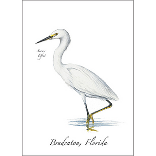Snowy Egret image 0
