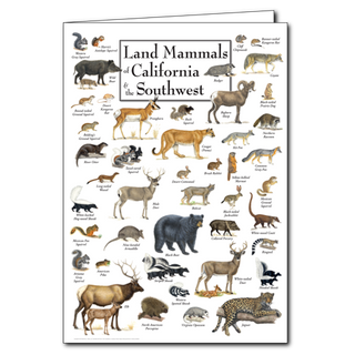 Land Mammals of California & the Southwest - Poster Card image 0