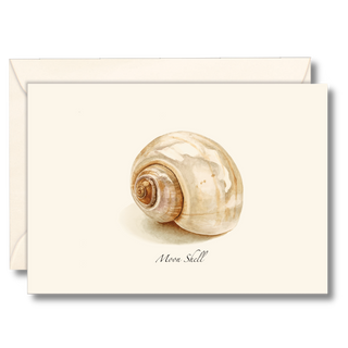 Moon Shell image 0