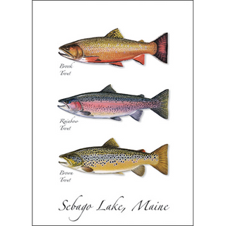 Trout Trio image 0