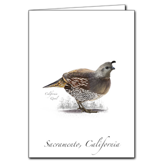California Quail image 0