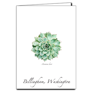 Succulent image 0
