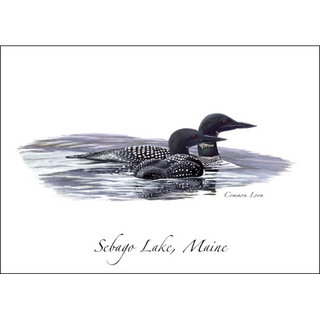 Common Loon II image 0