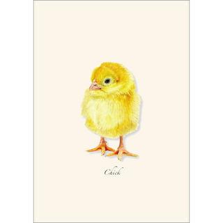 Chick -NEW- image 1