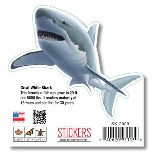 Great White Shark I image 1