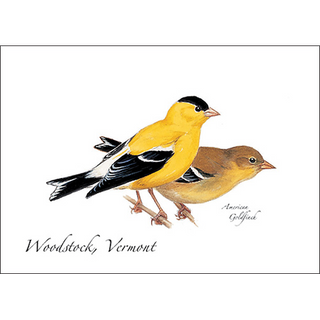 Goldfinch image 0