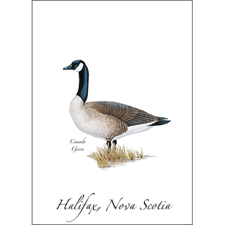 Canada Goose image 0