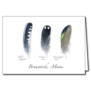 Waterbird Feathers image 0