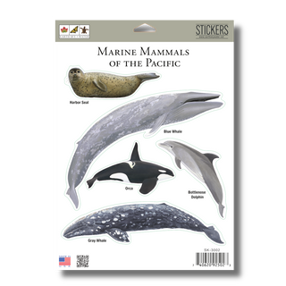 Marine Mammals of the Pacific -NEW- image 1