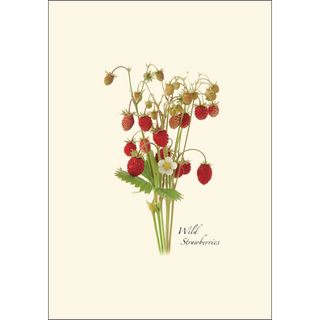 Wildflower Assortment III image 1