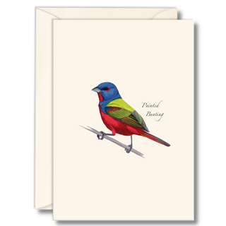 Painted Bunting image 0