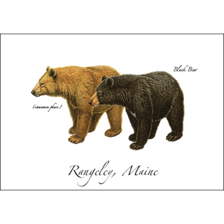 Black Bear II image 0