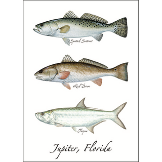 Atlantic Trio image 0