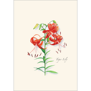 Garden Favorites Assortment image 1