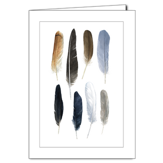 Feathers greeting card displaying a variety of natural shapes, textures, and patterns