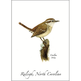 Carolina Wren image 0