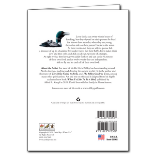 Sibley's 10-Card Bundle (Set of 10 Greeting Cards) image 11