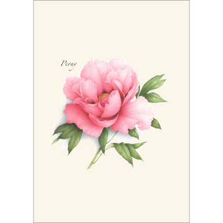 Peony Assortment image 2