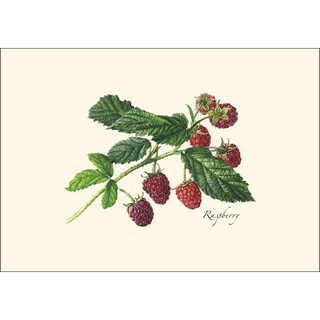 Berry Assortment II image 2