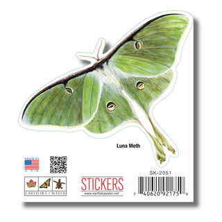 Luna Moth image 1