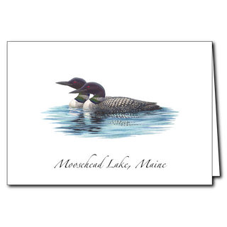 Loon Pair image 0