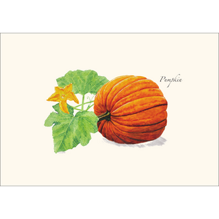 Pumpkin -NEW- image 1