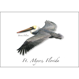 Brown Pelican image 0
